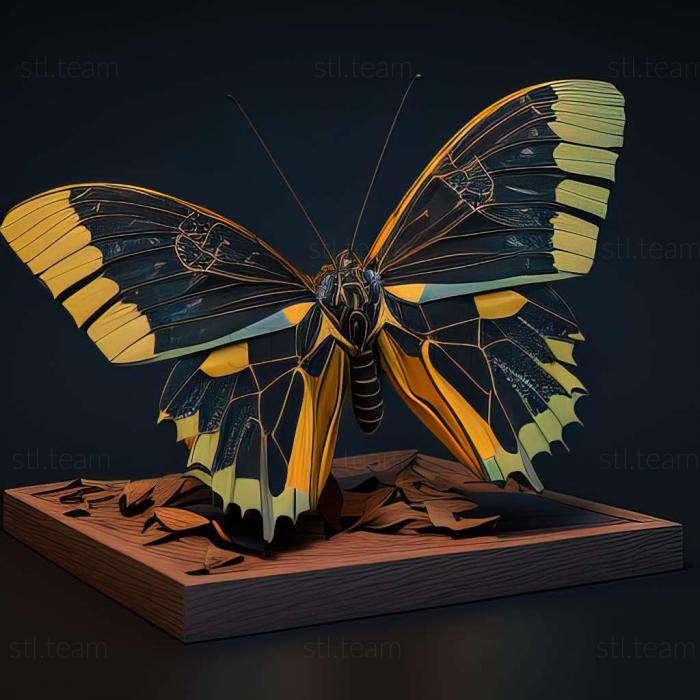3D model Ornithoptera meridionalis (STL)